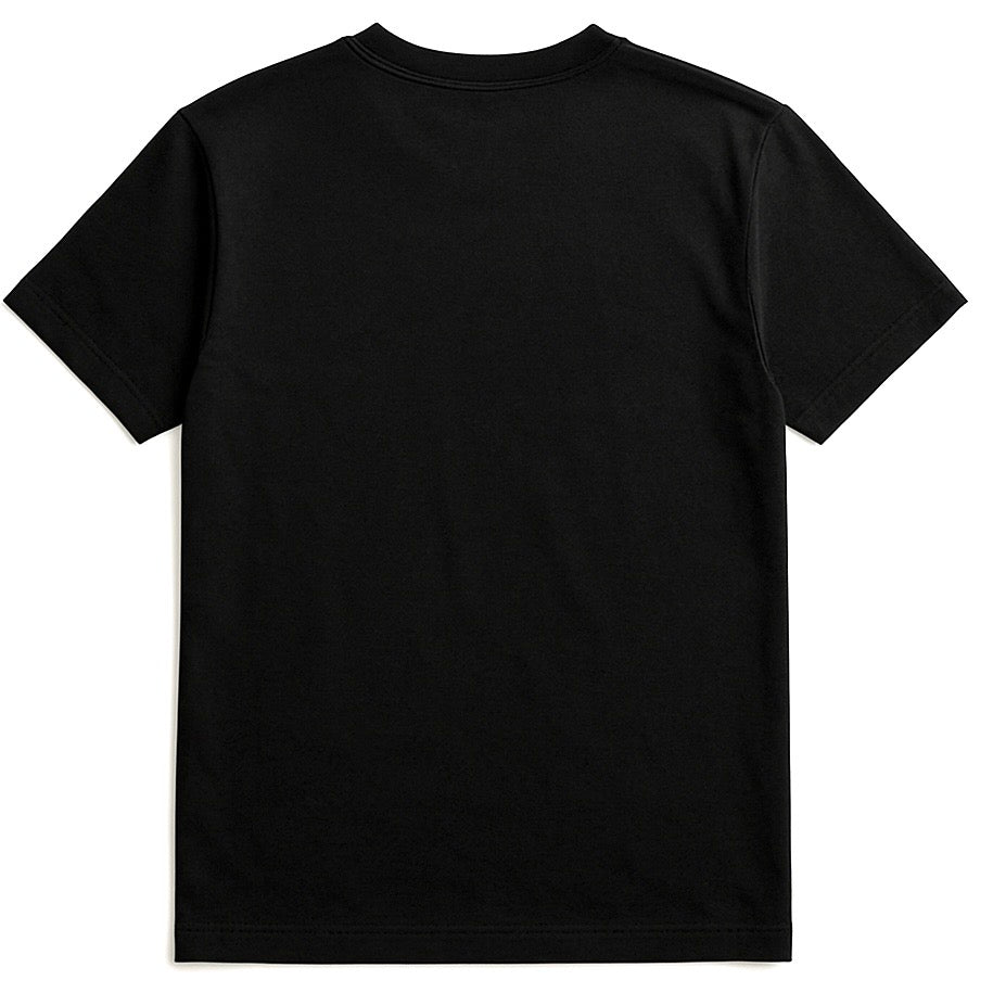 The North Eastern Hemisphere | Classic Palestine T-shirt