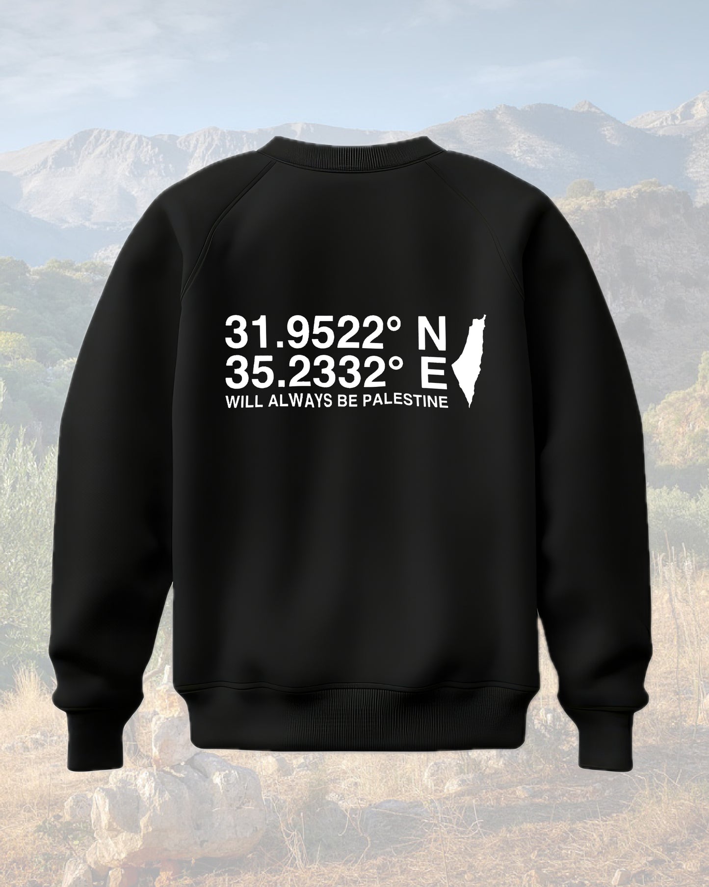 The North Eastern Hemisphere | Essentials Palestine Sweatshirt