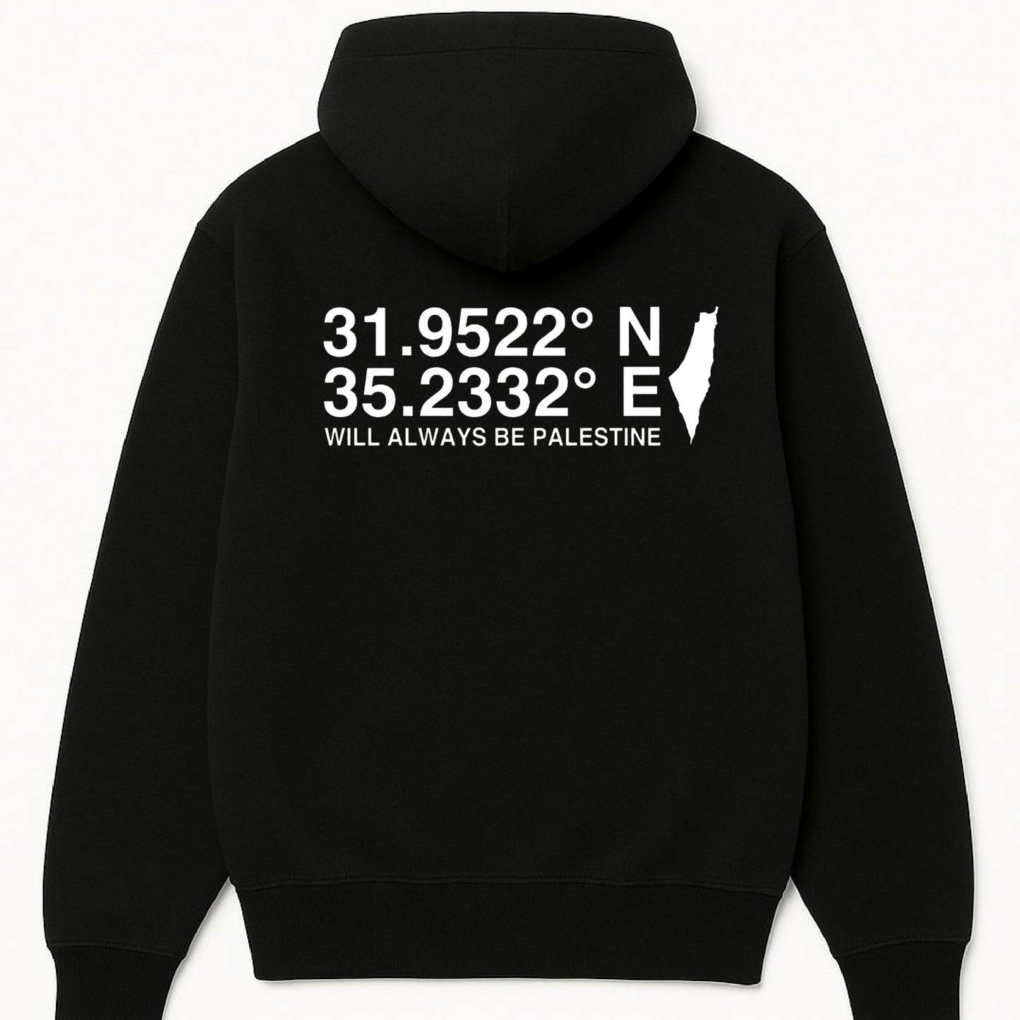 The North Eastern Hemisphere | Essentials Palestine Hoodie