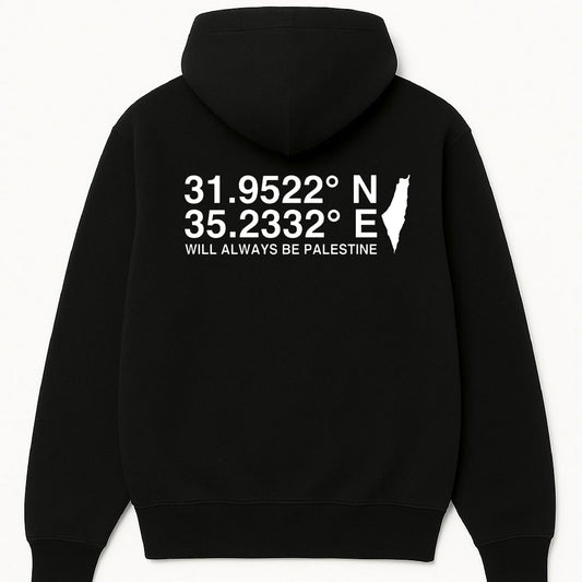 The North Eastern Hemisphere | Essentials Palestine Hoodie