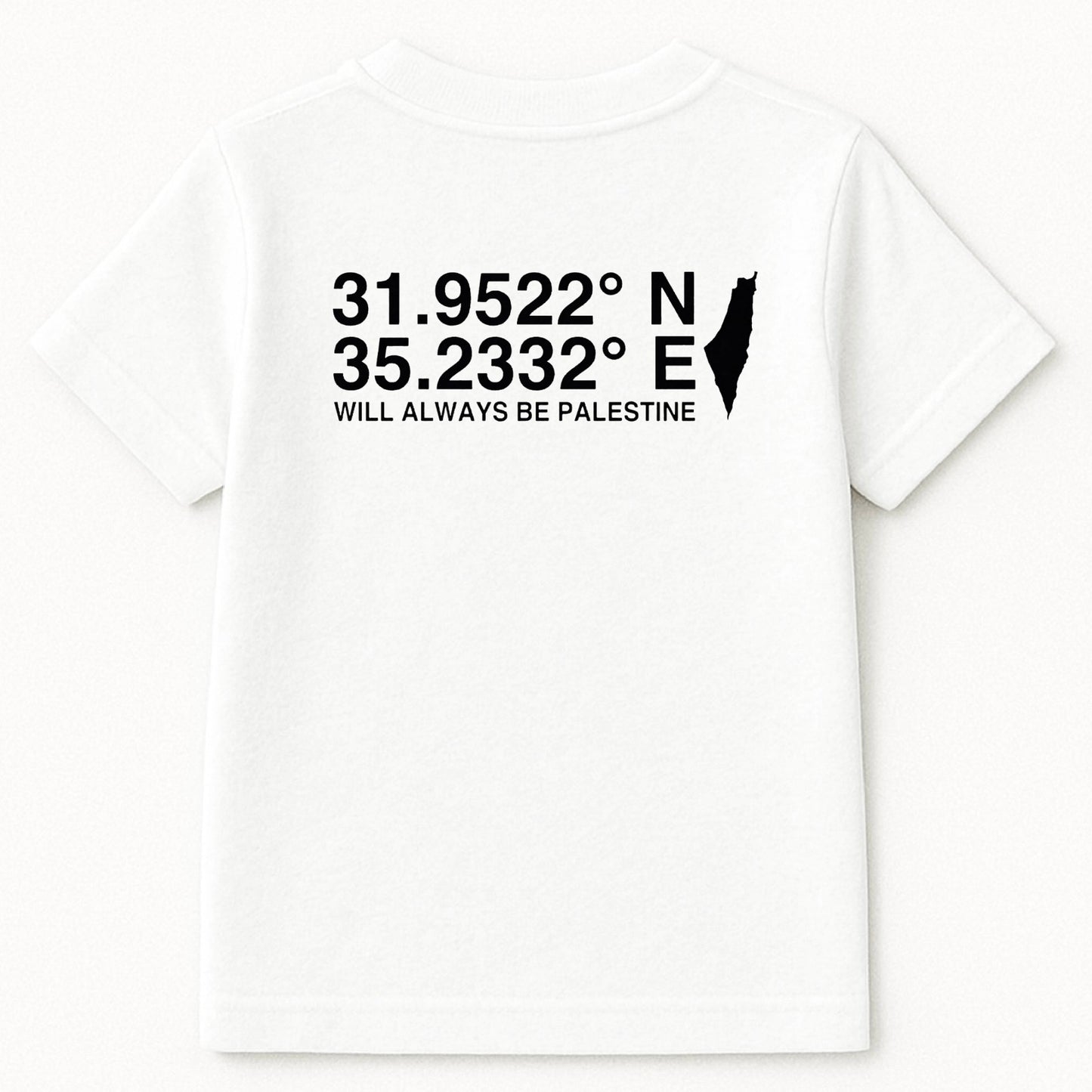 The North Eastern Hemisphere | Palestine Kids T.Shirt