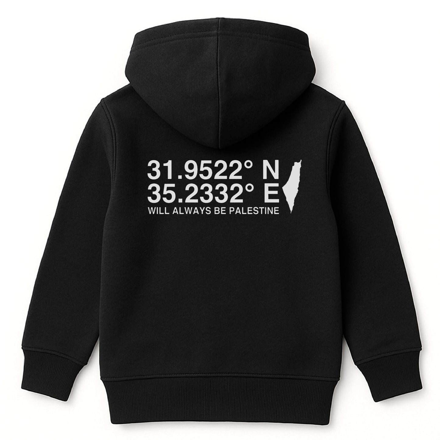 The North Eastern Hemisphere | Essentials Palestine Kids Hoodie