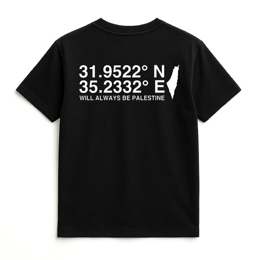 The North Eastern Hemisphere | Palestine Kids T.Shirt