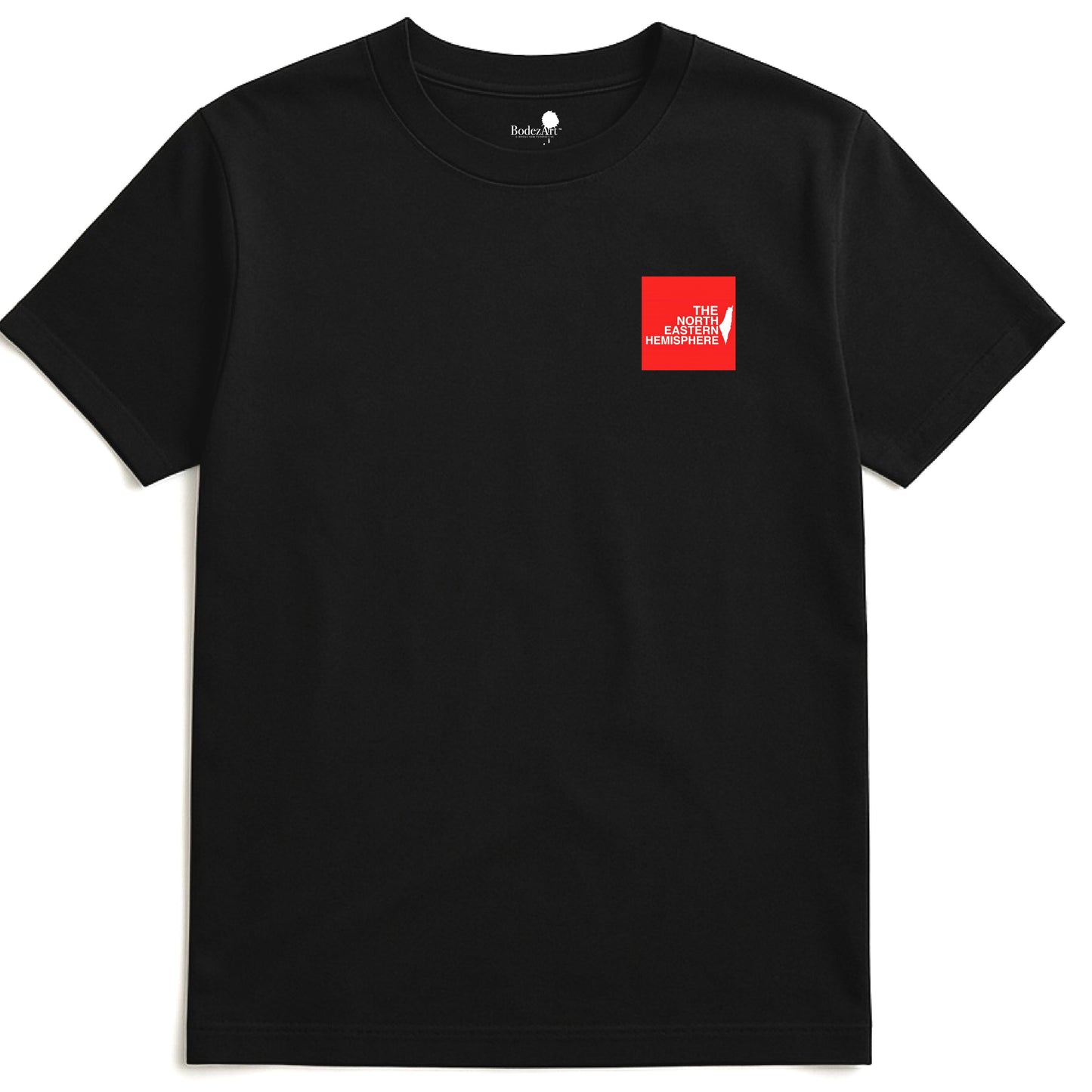 The North Eastern Hemisphere | Classic Palestine T-shirt