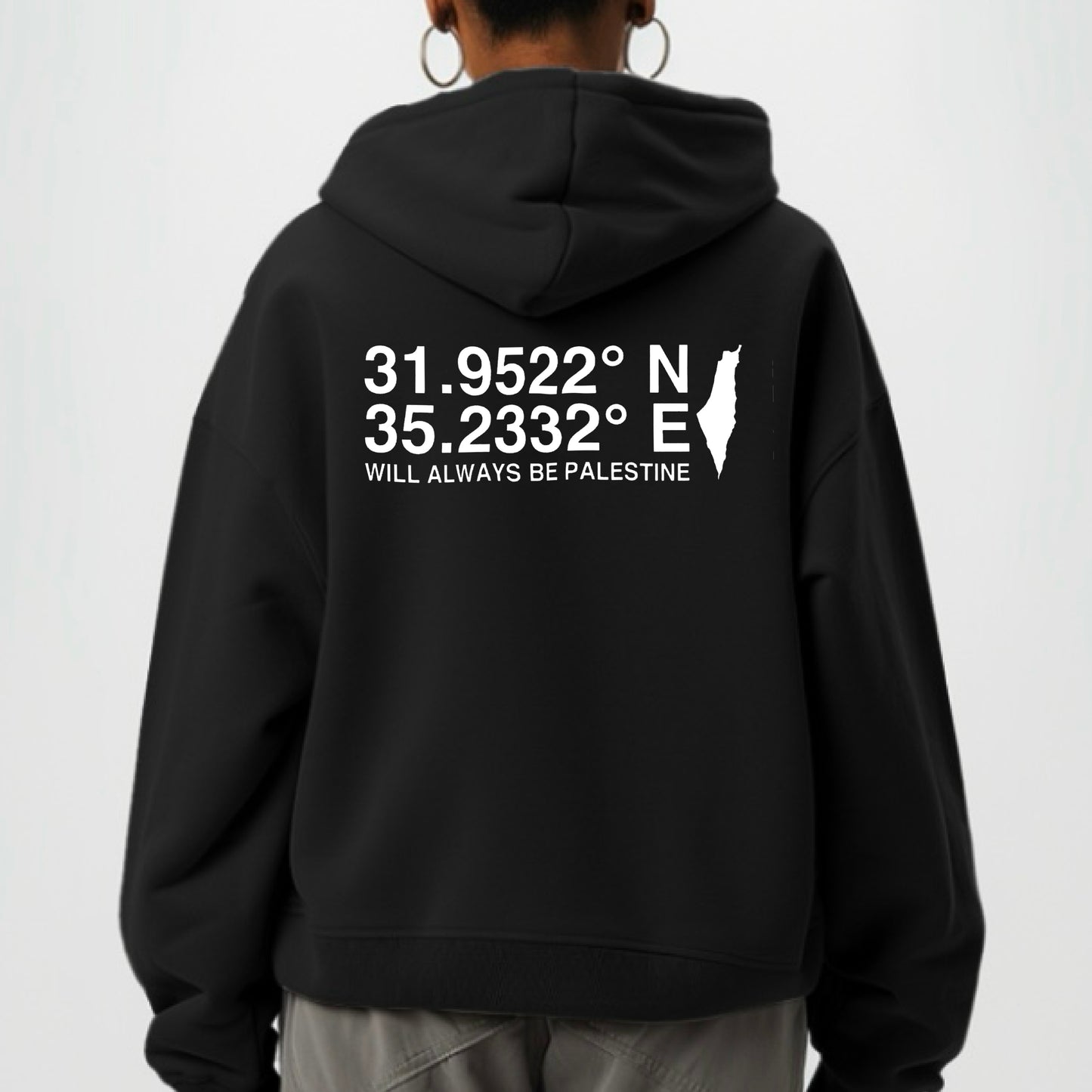 The North Eastern Hemisphere | Essentials Palestine Hoodie