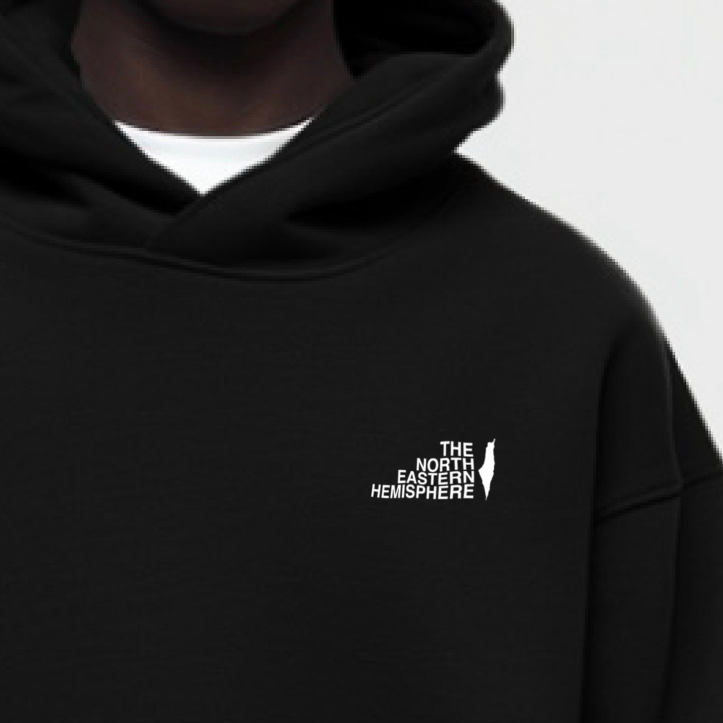 The North Eastern Hemisphere | Essentials Palestine Hoodie